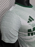 2026 Mexico World Cup Culture Promotion Green Player Version Training shirts