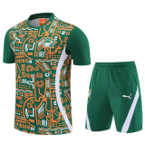25-26 Ivory Coast Green Training Short Suit