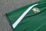 25-26 Ivory Coast Green Tank top and shorts suit