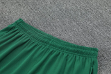 25-26 Ivory Coast Green Tank top and shorts suit