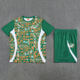 25-26 Ivory Coast Green Training Short Suit