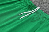 25-26 Senegal Green Training Short Suit