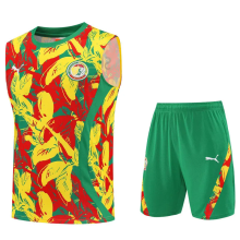 25-26 Senegal Green Tank top and shorts suit