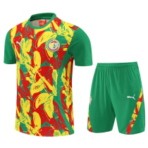 25-26 Senegal Green Training Short Suit