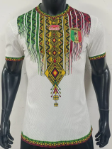 26-27 Mali Home Player Version Soccer Jersey