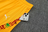 25-26 Ghana Yellow Tank top and shorts suit