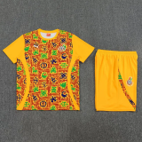 25-26 Ghana Yellow Training Short Suit