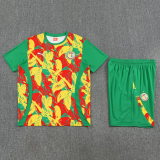 25-26 Senegal Green Training Short Suit