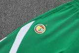 25-26 Senegal Green Jacket Tracksuit