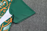 25-26 Ivory Coast Green Training Short Suit