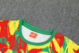 25-26 Senegal Green Training Short Suit