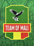 25-26 Mali Green Player Version Training shirts