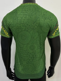 25-26 Mali Green Player Version Training shirts
