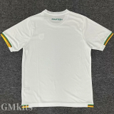 25-26 Cameroon White Training shirts