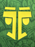 25-26 Mali Green Player Version Training shirts