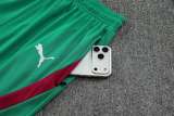 25-26 Morocco Red Training Short Suit