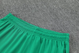 25-26 Morocco Red Training Short Suit