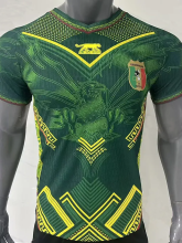26-27 Mali Away Player Version Soccer Jersey (鹰图)