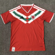 26-27 Wales Red Special Edition Fans Soccer Jersey