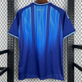 26-27 Algeria Royal blue Fans Training shirts