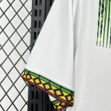 26-27 Mali Home Fans Soccer Jersey (吊花图)