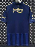 25-26 Fenerbahce Third Fans Soccer Jersey