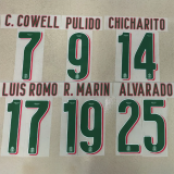 25-26 Chivas Guadalajara Away Player Version Soccer Jersey