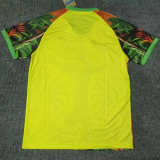25-26 Brazil Red Yellow Green Special Edition Training shirts