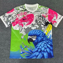 25-26 Brazil Pink Blue Special Edition Training shirts