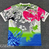 25-26 Brazil Pink Blue Special Edition Training shirts
