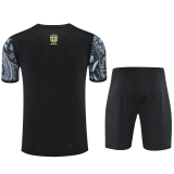 25-26 Brazil Grey Training Short Suit