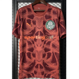 25-26 Palmeiras Red Goalkeeper Soccer Jersey