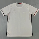 25-26 Vitoria Away Fans Soccer Jersey
