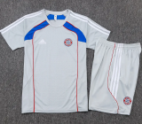 25-26 Bayern Grey Training Short Suit #D25128