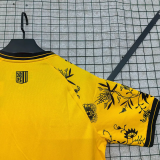25-26 Dynamo Dresden Special Edition Fans Soccer Jersey