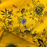 25-26 Dynamo Dresden Special Edition Fans Soccer Jersey