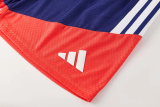 26-27 Japan Fancy blue Training Short Suit
