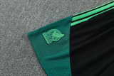 26-27 Mexico Green Training Short Suit
