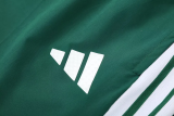 26-27 Algeria Green Hoodie Jacket Tracksuit