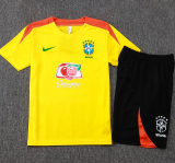 25-26 Brazil Yellow Training Short Suit #D25254