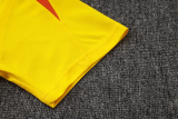 25-26 Brazil Yellow Training Short Suit #D25254