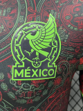 26-27 Mexico Brown Special Edition Player Version Training shirts