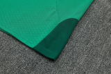 26-27 Algeria Green Training Short Suit