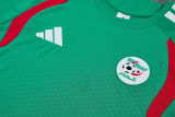 26-27 Algeria Green Training Short Suit