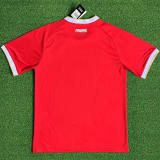 25-26 Panama Home Fans Soccer Jersey