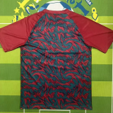 26-27 Portugal Red Fans Training shirts