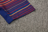25-26 BAR Fancy blue Training Short Suit