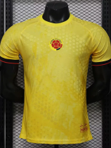 26-27 Colombia Yellow Special Edition Player Version Training shirts (逗号)