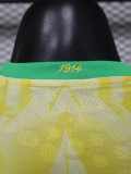 26-27 Brazil Yellow Special Edition Player Version Training shirts (逗号)