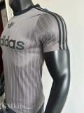 2025 AD Casual Grey Player Version Training shirts (三叶草)